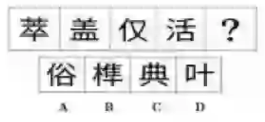 15.png